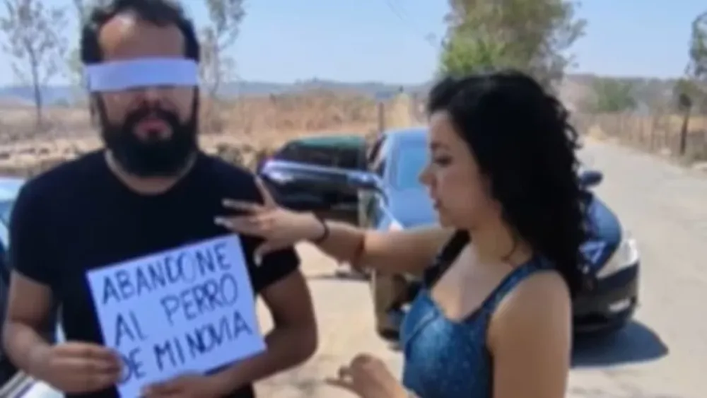 Su novio abandonó a un perro, ella se vengó y le hizo lo mismo