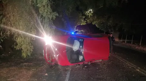 Se le atravesó una paloma, intentó esquivarla y volcó