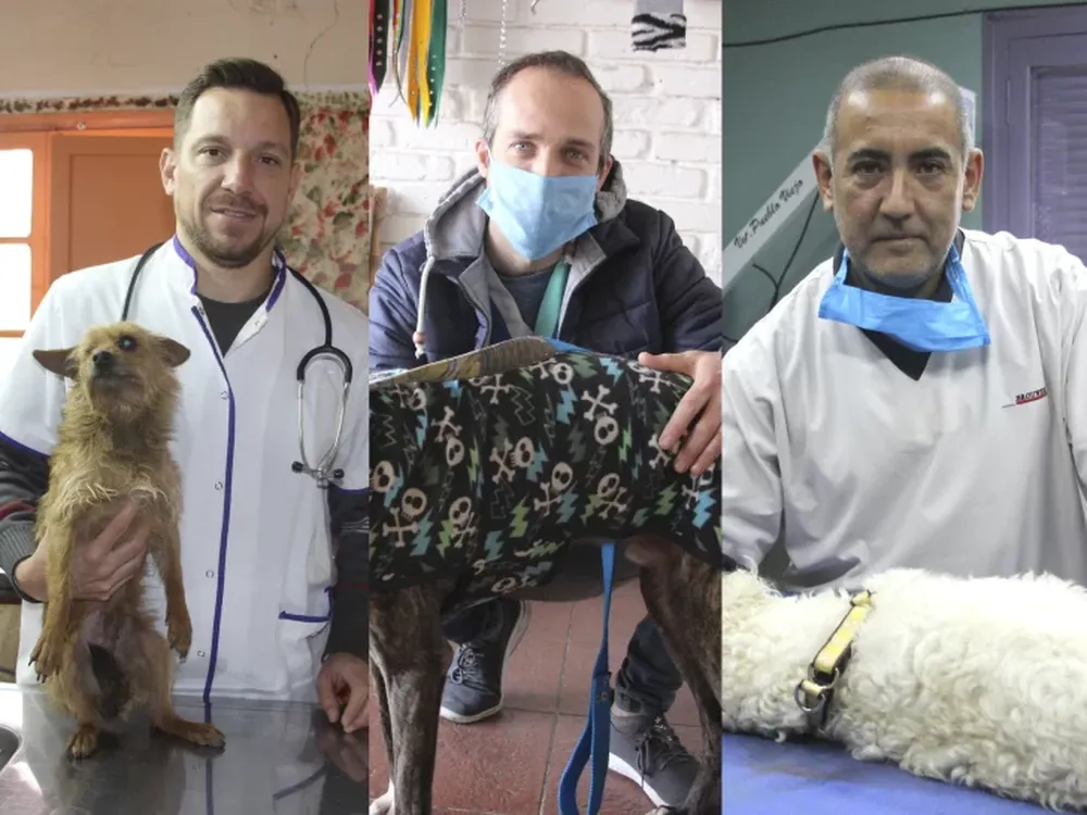 Los que cumplieron la promesa de chicos de curar a todos los animales abandonados