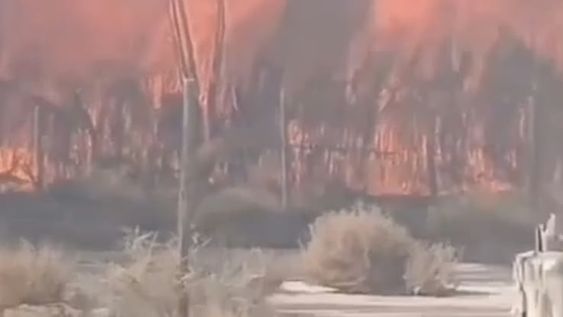 viento zonda: dos incendios pusieron en peligro viviendas y generaron tension entre vecinos
