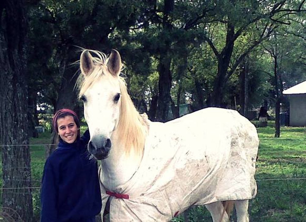 Reina con ritmo arrasador