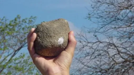 Un chico de 15 años mató a joven de una pedrada en la cabeza tras discutir por un perro