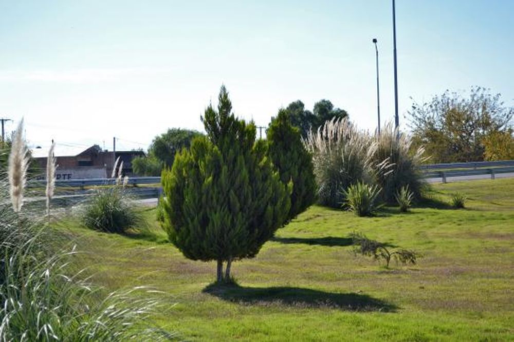 El verde que envuelve la ciudad