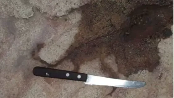 Durante su salida transitoria amenazó a dos menores con un cuchillo y les robó las zapatillas