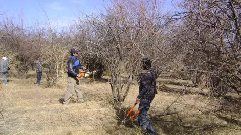 7º Jornadas de Membrillos del Sol