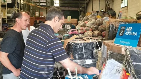 La Aduana incautó mercadería ilegal valuada en $ 55 millones que ingresó al país