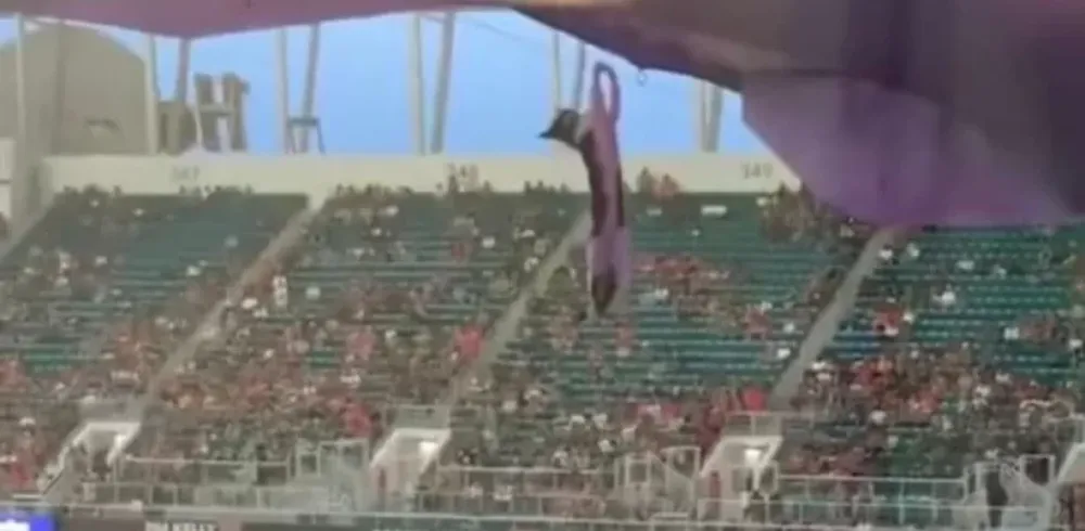 Fanáticos salvaron a un gato de una impresionante caída con una bandera de EEUU