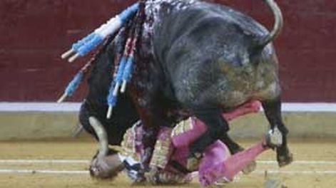 Cornada impactante