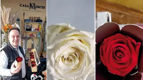 Flor de Día de la Madre