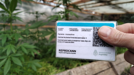 reprocann estrena nuevo sistema con aprobacion en 48 horas, pero la letra chica genera preocupacion