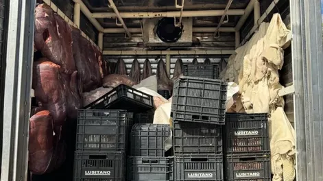 Imagen de la carga que llevaban las cuatro personas que quedaron detenidas.-