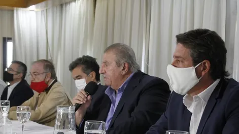 Diario de Cuyo | ddc160621 003f02 728x556.webp