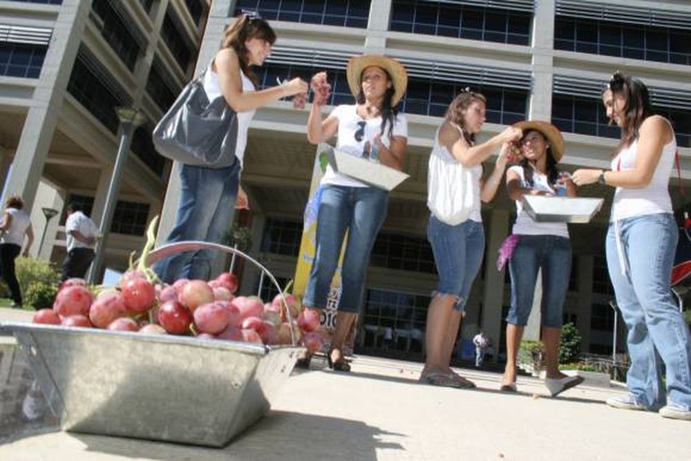 Una revolución con gamelas y racimos