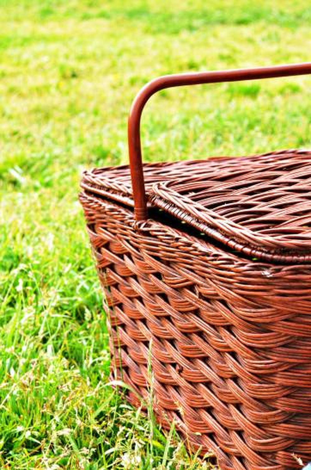 Se armó el pic-nic