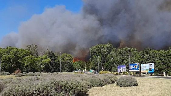 Un voraz incendio se esparce por bosques en Villa Gesell: el humo es visible desde la playa