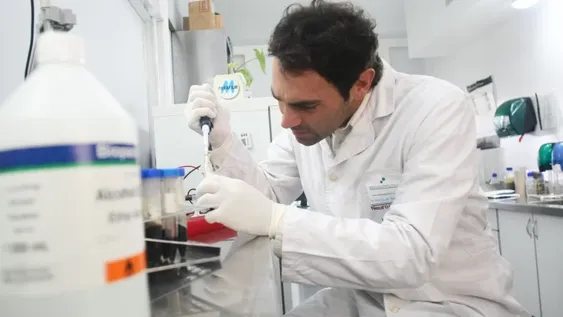 Científicos locales buscan aislar el virus y determinar qué cepas circulan en San Juan