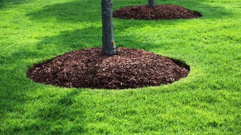 Mulching