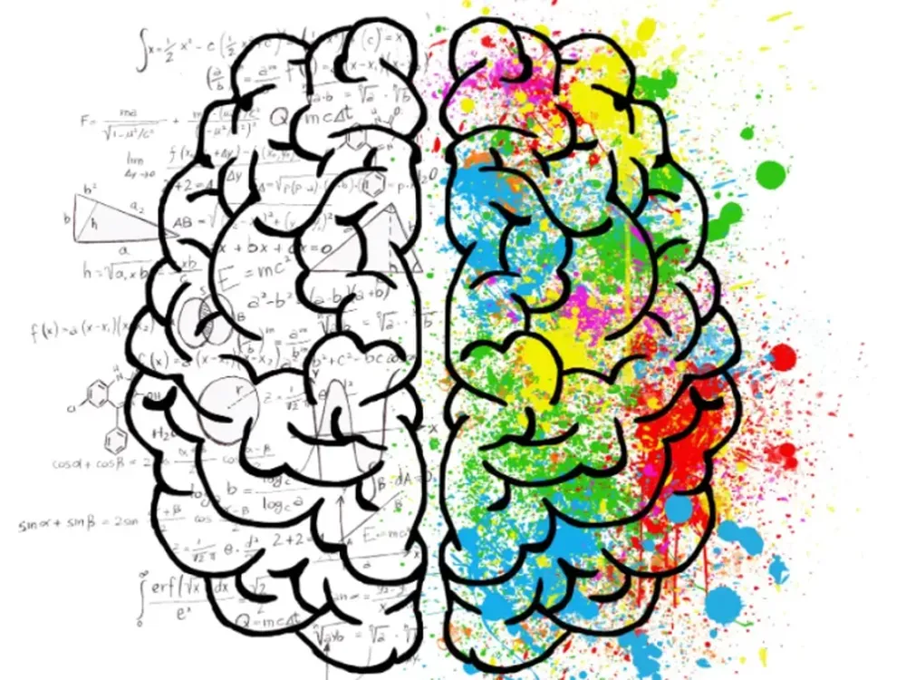 El rol de las neurociencias en los procesos deaprendizaje