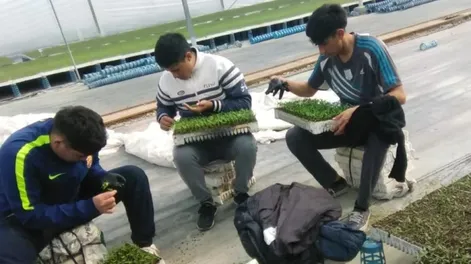 Educar para los nuevos roles tecnológicos agroindustriales