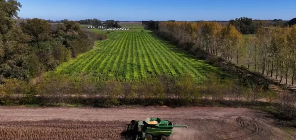 El Gobierno dispuso la suba de las retenciones a la soja y el maíz desde el 1 de julio