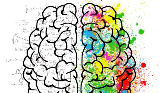 El rol de las neurociencias en los procesos deaprendizaje