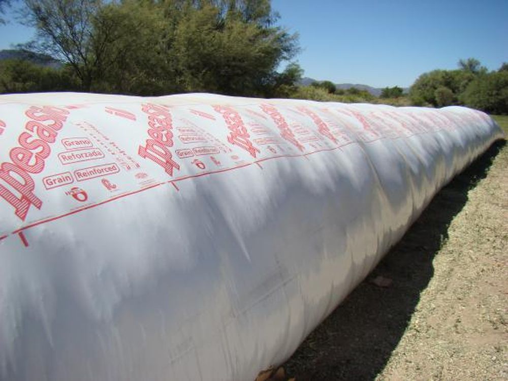 El cuarto grupo ganadero entra en acción en el proyecto de Jáchal