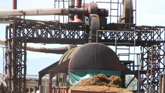 El nuevo uso del mosto cae bien, pero en el mercado de la gaseosa dudan