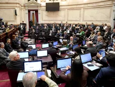 El texto, que debe ser aprobado por la Cámara de Diputados para tener fuerza de ley.