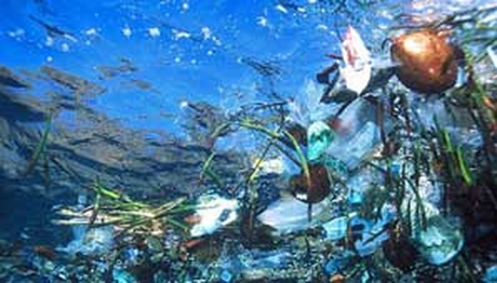 Basura en el Pacífico