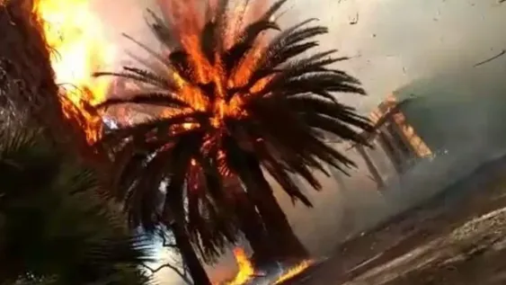 Al menos 20 focos de incendios, el saldo que dejó el viento Zonda