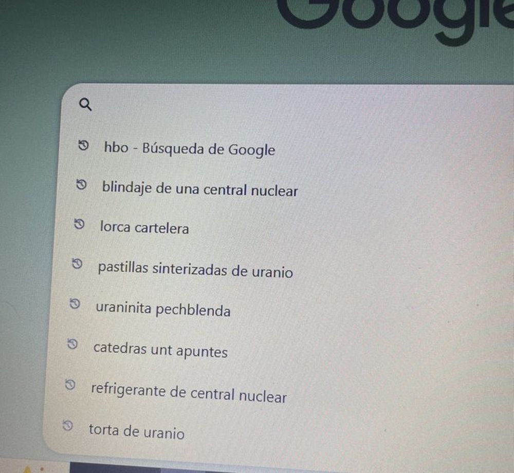 Revisó el historial de búsqueda de su novio ingeniero y lo que encontró la sorprendió