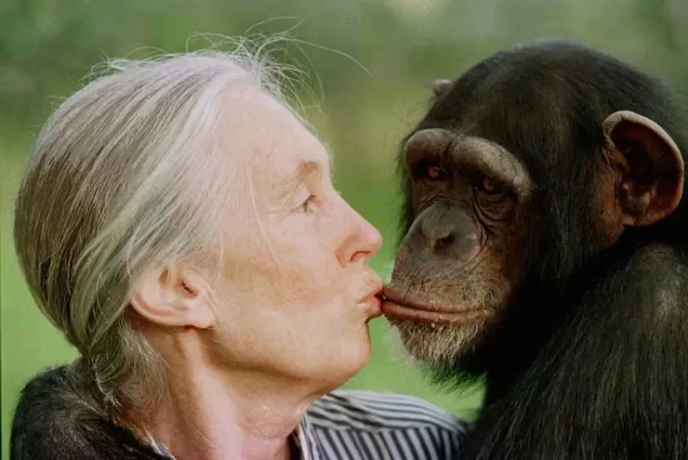 Jane Goodall.
