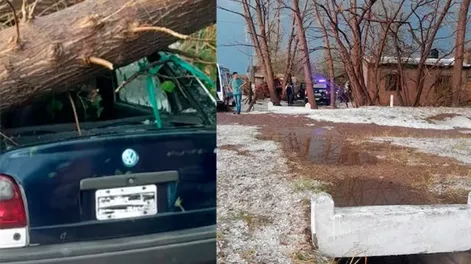Murió aplastado por un árbol al intentar proteger su auto del granizo