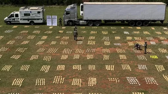 Secuestran más de 9 toneladas de marihuana en un camión que llevaba pollos