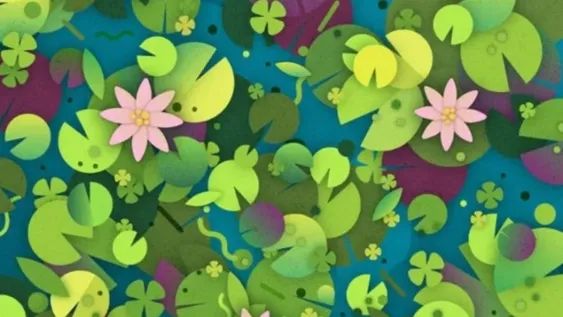 ¿Dónde está la tortuga?, el nuevo reto viral