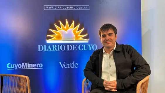 Ricardo Palacios, presidente de la Unión Industrial de San Juan