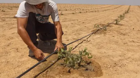 Diario de Cuyo | foto_apertura 728x546.webp