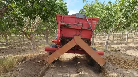 El abono tiene mejores resultados porque aporta buena cantidad de nutrientes y por más tiempo.