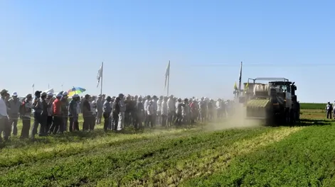 Forrajes: el sector más equipado de la agricultura sanjuanina