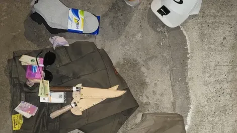 Robó ropa, parlantes y hasta un pote de helado y pasará 4 meses en prisión