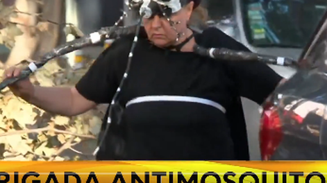 Hasta con disfraces, una brigada antimosquitos de vecinos sale concientizar sobre el dengue