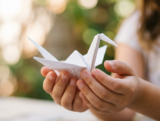 Arte por la Paz, en homenaje a Noelia Ávila -la chica origami- reunirá a destacados especialistas en San Juan, que abordarán este arte ancestral japonés desde diferentes perspectivas.&nbsp;