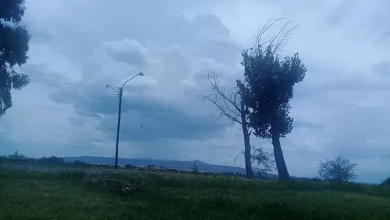 Cayó importante cantidad de agua en la zona Norte y Este de San Juan