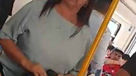Fuerte discusión en el tren Sarmiento por una mujer que maltrató a un perro