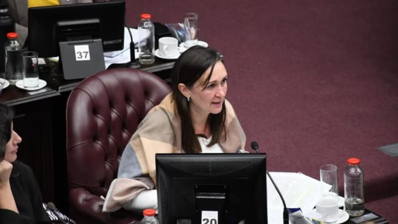 conmocion por la sorpresiva muerte de una diputada