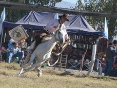 Hubo derroche de adrenalina en la fiesta que organizó la Agrupación Cacique Angaco para celebrar el Día del Trabajador. Hubo derroche de adrenalina en la fiesta que organizó la Agrupación Cacique Angaco para celebrar el Día del Trabajador.