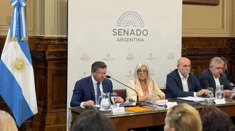 Marcelo Orrego defendió y explicó la Ley de Glaciares ante las comisiones del Senado