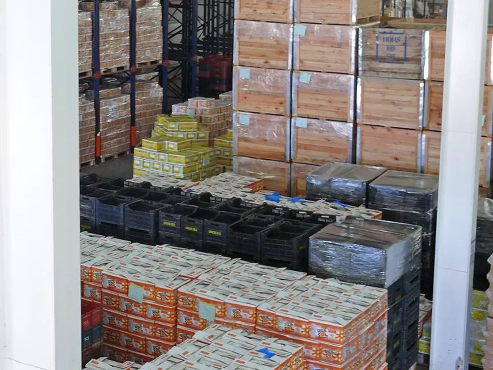 Nuevo consejo público privado