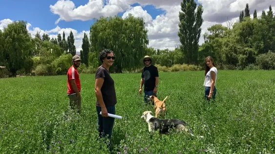 Empiezan a fabricar la bodega que produce el vino sanjuanino más caro