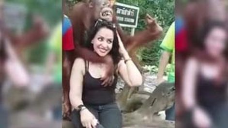 Orangután mano larga